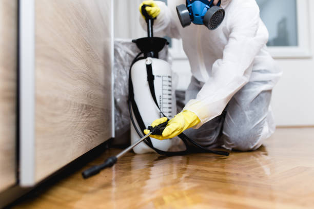 Best Affordable Pest Control Services  in Ladson, SC