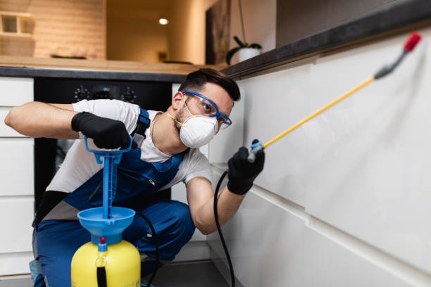 Best Pest Prevention Services  in Ladson, SC