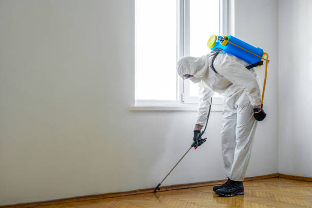Best Wasp Removal Services  in Ladson, SC