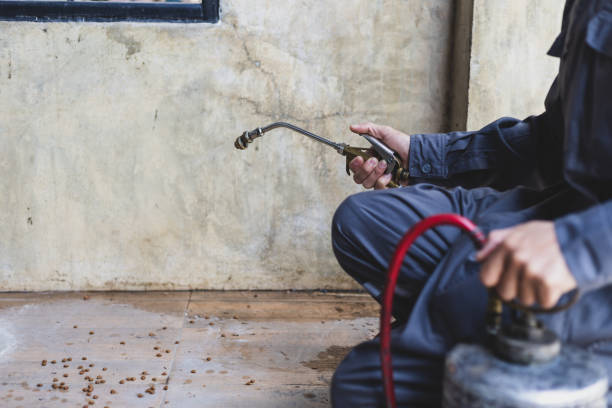 Best Wasp Removal Services  in Ladson, SC