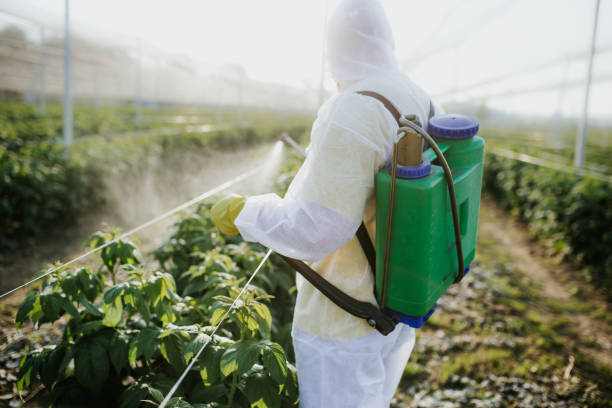 Best Best Pest Control Companies  in Ladson, SC